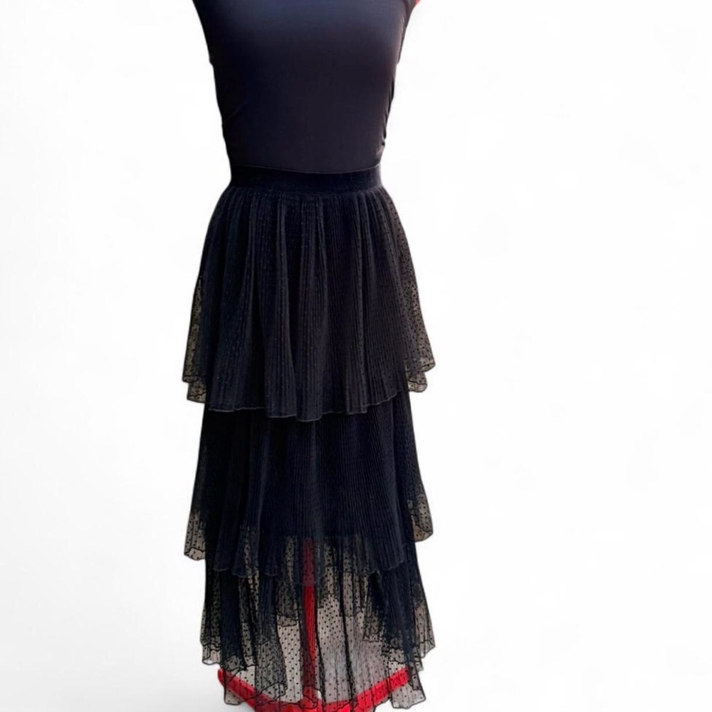 Zara NWT Sheer Polka Dot Tiered Maxi Skirt